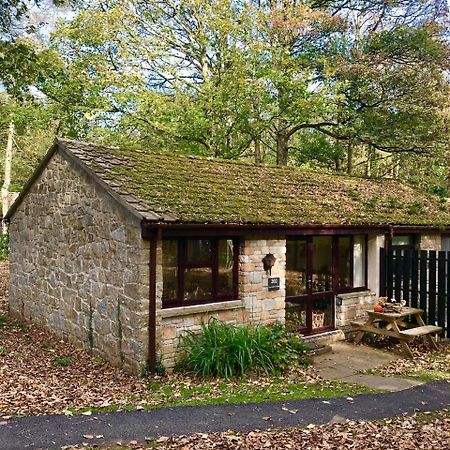 Cosy Woodland Home Uny Lelant Dış mekan fotoğraf