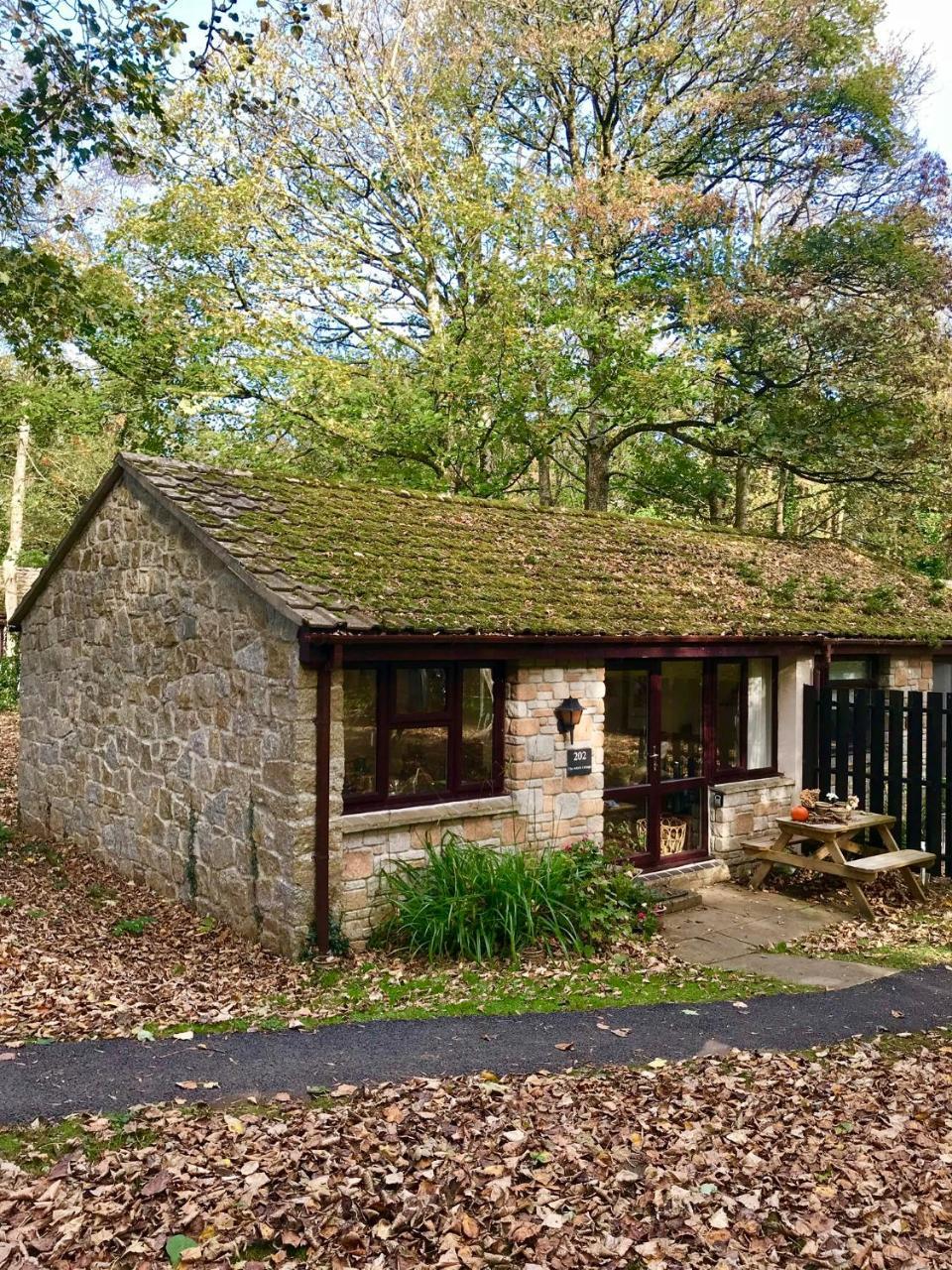 Cosy Woodland Home Uny Lelant Dış mekan fotoğraf