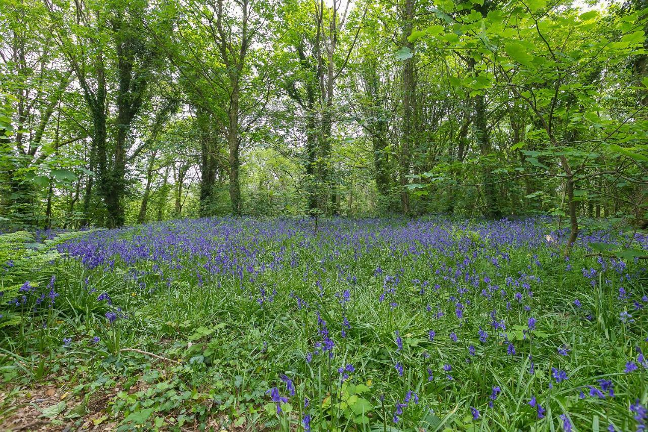 Cosy Woodland Home Uny Lelant Dış mekan fotoğraf